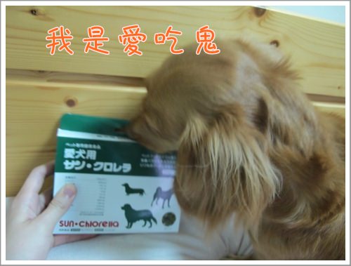 20251024-tncxi 20251024-tncxi