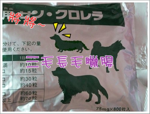 20251024-wppgu 20251024-wppgu