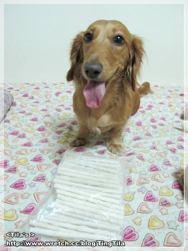 20251024-8h8j4 20251024-8h8j4