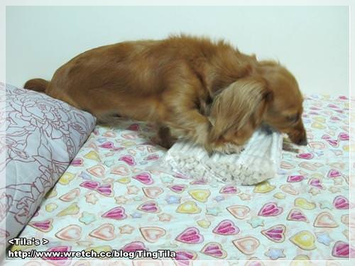 20251024-jwqfu 20251024-jwqfu