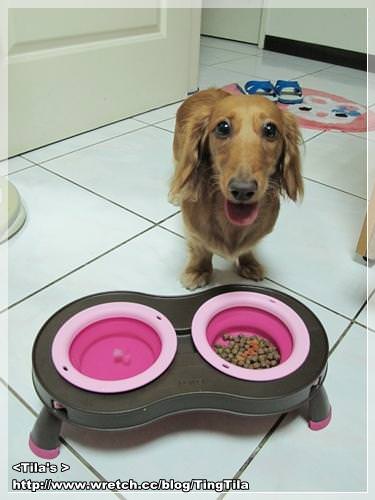 20251024-qhyg2 20251024-qhyg2