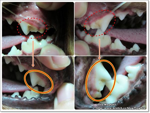 20251024-65n9n 20251024-65n9n