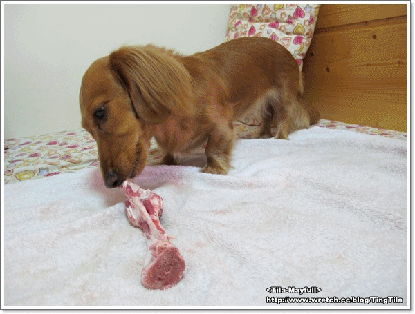 20251024-7hdgu 20251024-7hdgu