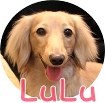 20251024-9ete9 20251024-9ete9