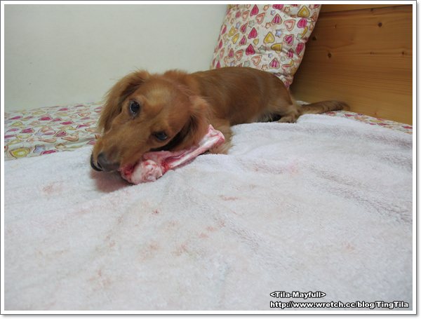 20251024-ngwji 20251024-ngwji