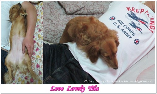 20251024-2lcpt 20251024-2lcpt