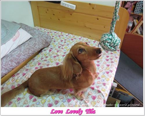 20251024-bcm0i 20251024-bcm0i