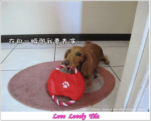 20251024-jqebz 20251024-jqebz