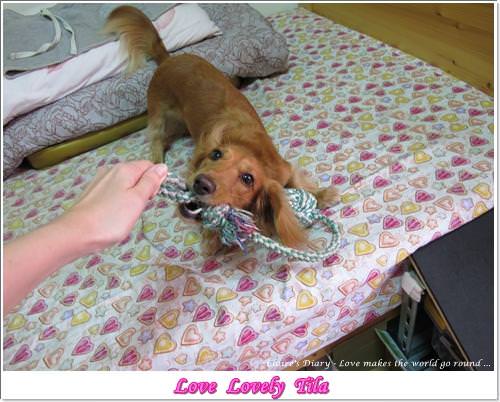 20251024-kpprg 20251024-kpprg