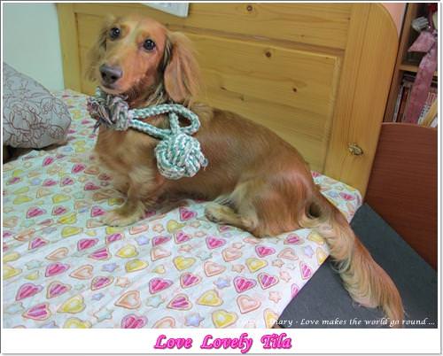 20251024-n9f09 20251024-n9f09