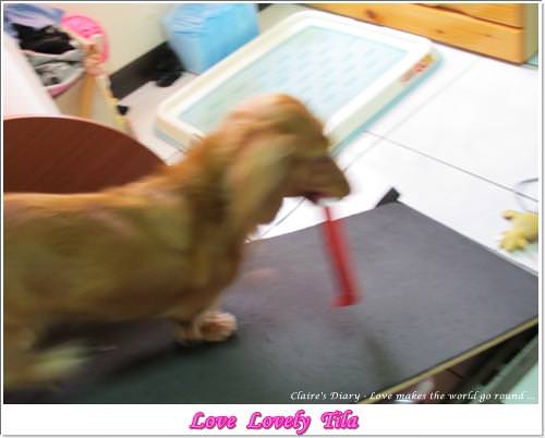 20251024-unm4y 20251024-unm4y