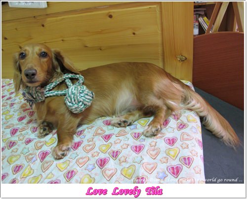 20251024-z7hf0 20251024-z7hf0