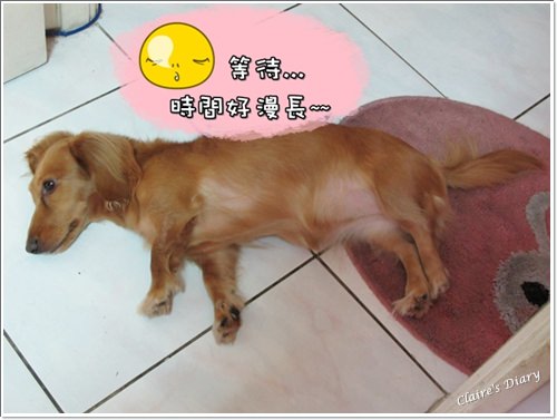 20251024-0m0za 20251024-0m0za