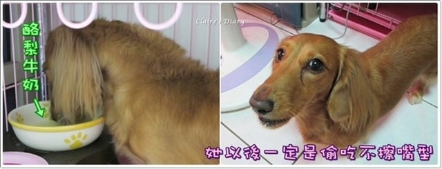 20251024-u8smd 20251024-u8smd