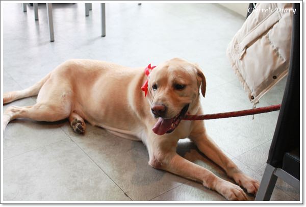 20251024-06pgk 20251024-06pgk