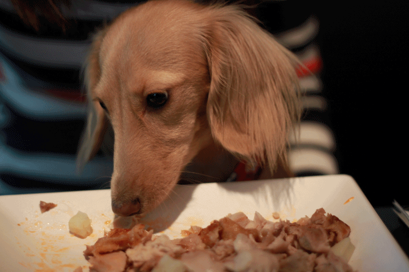 20251024-2686p 20251024-2686p