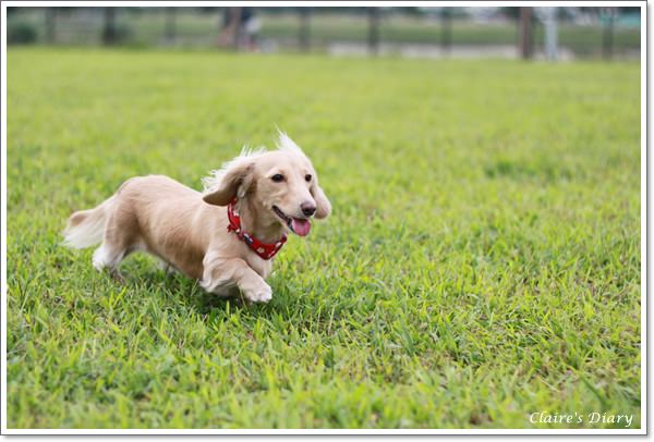 20251024-4cpyu 20251024-4cpyu