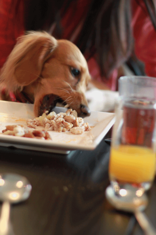 20251024-53rv4 20251024-53rv4