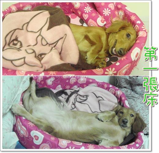 20251024-6cpow 20251024-6cpow