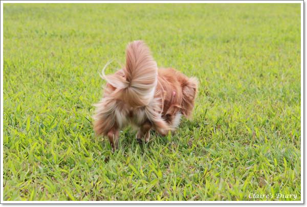 20251024-6lao1 20251024-6lao1