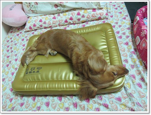 20251024-6pi8y 20251024-6pi8y