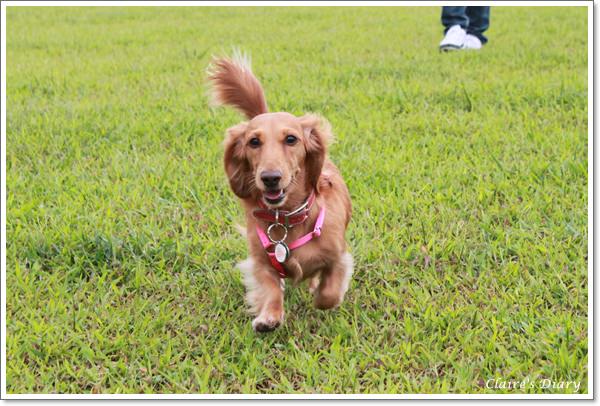 20251024-6przm 20251024-6przm