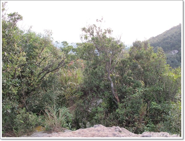 20251024-8vto4 20251024-8vto4