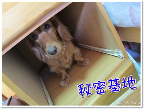 20251024-9iduj 20251024-9iduj