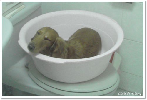 20251024-b0gxi 20251024-b0gxi