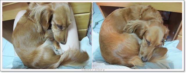 20251024-dwi5z 20251024-dwi5z