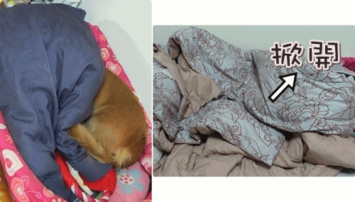 20251024-e7cpf 20251024-e7cpf