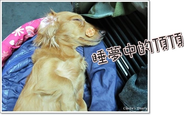 20251024-f6x65 20251024-f6x65