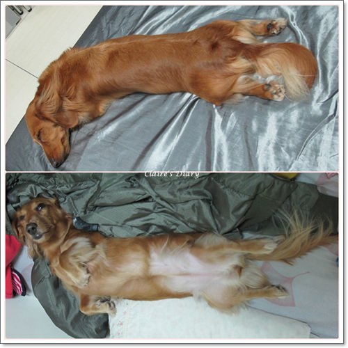 20251024-fove1 20251024-fove1