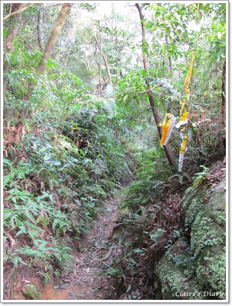 20251024-g3pv2 20251024-g3pv2