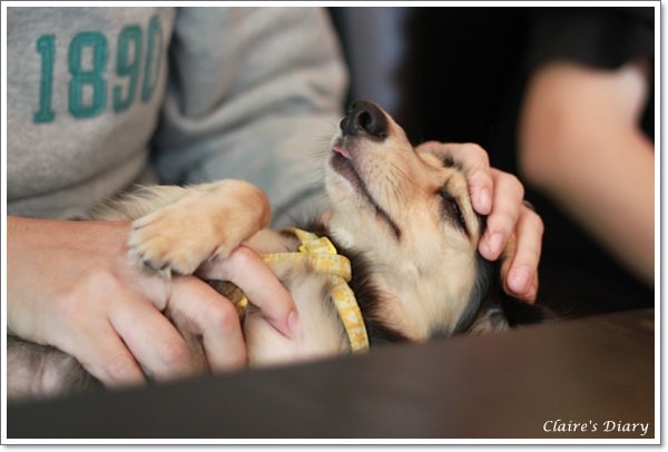 20251024-gmgq4 20251024-gmgq4