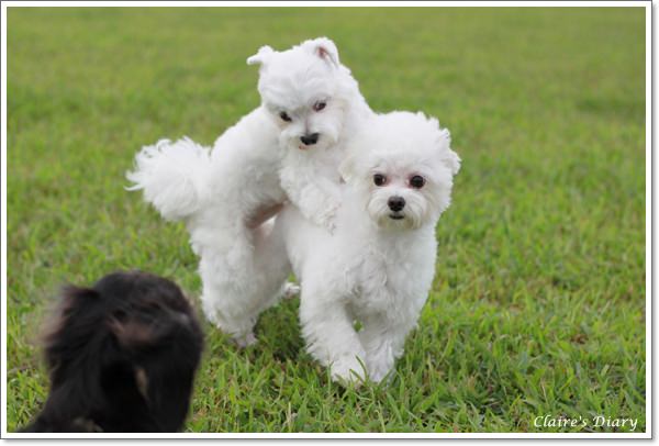 20251024-gsczc 20251024-gsczc