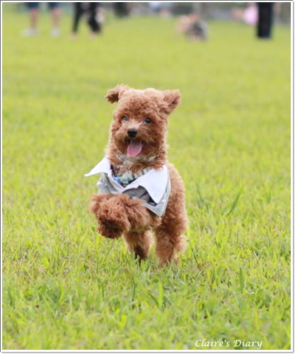 20251024-gwnkm 20251024-gwnkm