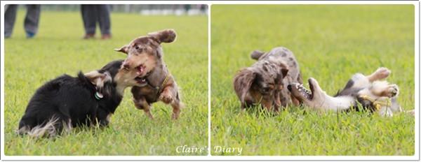 20251024-haw6q 20251024-haw6q