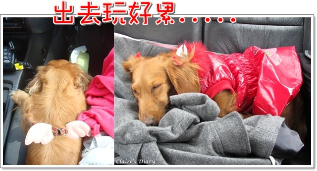 20251024-jrssa 20251024-jrssa