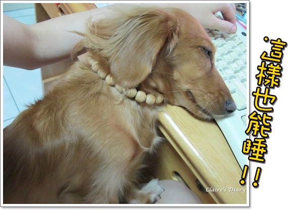 20251024-kcu8x 20251024-kcu8x