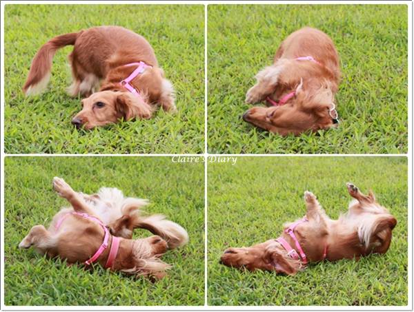 20251024-kq7gi 20251024-kq7gi