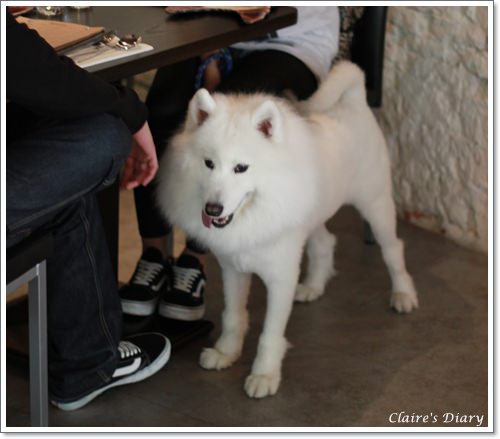 20251024-lqjqx 20251024-lqjqx