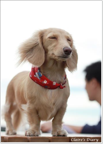 20251024-mg6d1 20251024-mg6d1