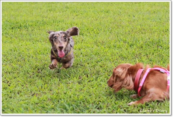 20251024-nwmqv 20251024-nwmqv