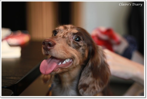 20251024-pf6m4 20251024-pf6m4