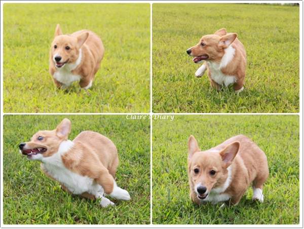 20251024-q0sdd 20251024-q0sdd