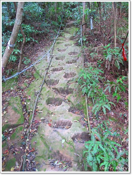 20251024-q29q6 20251024-q29q6