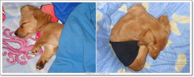 20251024-qt8gv 20251024-qt8gv