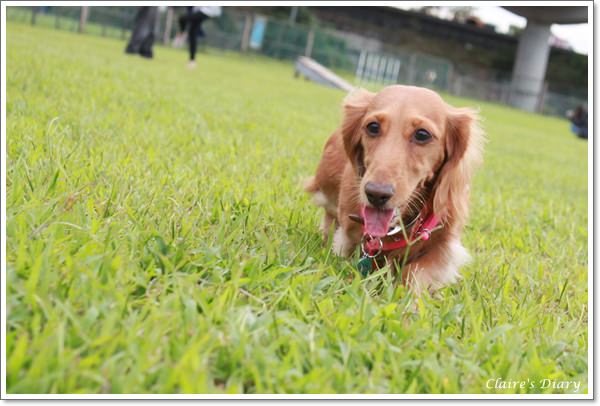 20251024-quajp 20251024-quajp