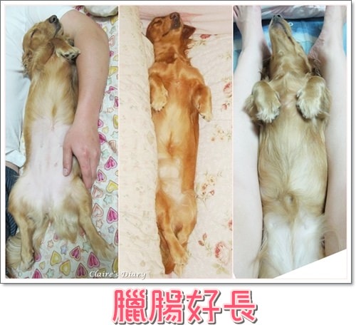 20251024-quvcc 20251024-quvcc